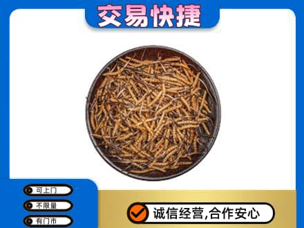 崇左高价回收散虫草